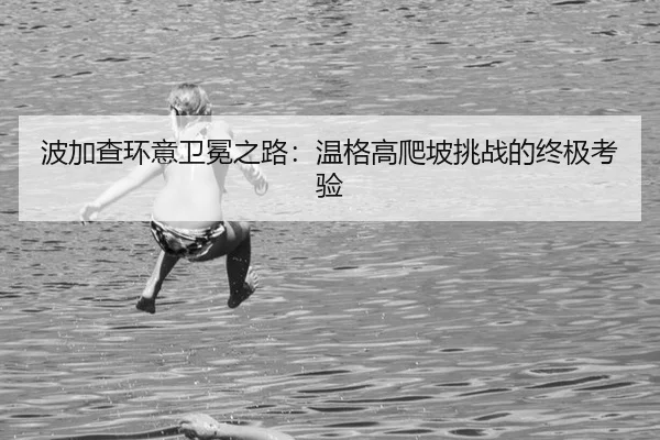 bo-jia-cha-huan-yi-wei-mian-zhi-lu-wen-ge-gao-pa-po-tiao-zhan-de-zhong-ji-kao-yan-2-761.jpg